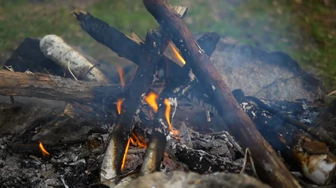 Bonfire slow motion Stock Footage 38847625