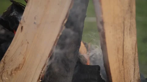 Bonfire in Slow Motion. Video stock 203573363