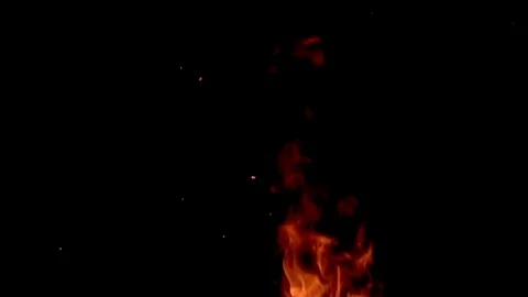 Bonfire, Slow Motion, Medium Shot Stock Footage 71573687