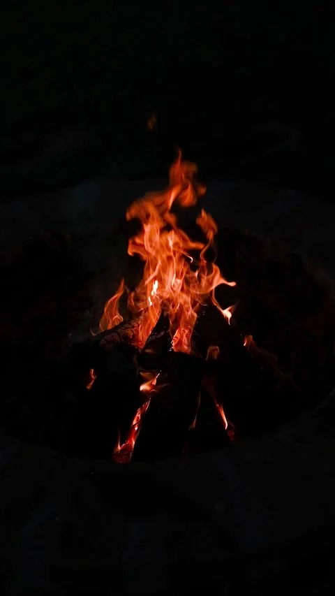 A bonfire of small logs of wood being burned in a place surrounded by bricks  Stock Footage 280361932