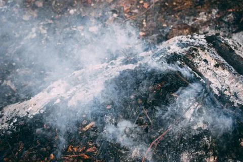 Bonfire smoke with ash. Stock Photos