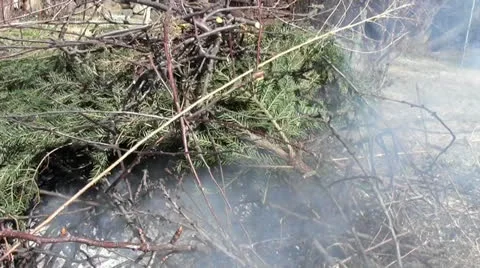 Bonfire with smoke Stock Footage 22743671