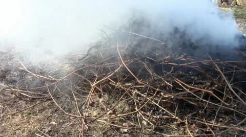 Bonfire with smoke Stock Footage 24695845