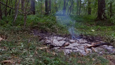 Bonfire is smoke in the woods 스톡 동영상 80439104
