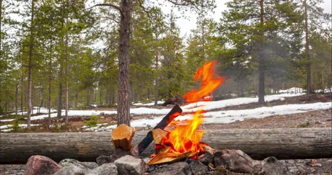 Bonfire in a snowy forest in spring. Time Lapse. Stock Footage 155118213
