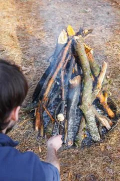 Bonfire in the spring forest on the background of withered grass. In the fram Stock-Fotos