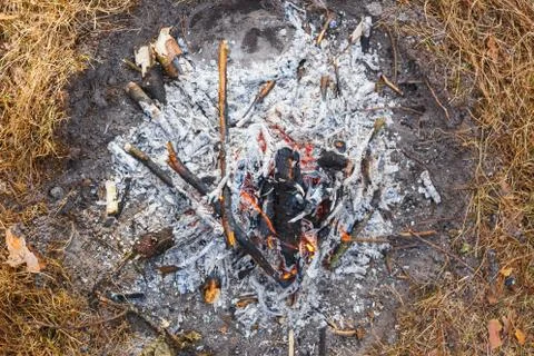 Bonfire in the spring forest on the background of withered grass. Stock Photos
