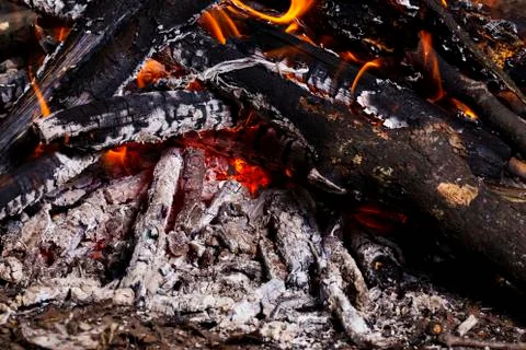 Bonfire in the spring forest Stockfoto's