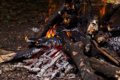 Bonfire in the spring forest Stock-Fotos