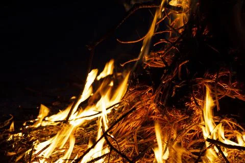 Bonfire in the spring time burning garbage, fire danger. Foto stock