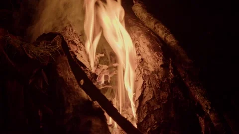 Bonfire starting to burn Vídeos de archivo 200431193