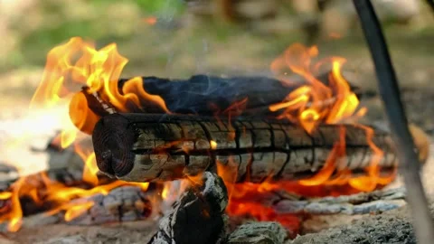 Bonfire in summer forest on camping. Flames and smoke burning firewood. Stock Footage 157370401