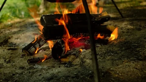 Bonfire in summer forest on camping. Flames and smoke burning firewood. Stock Footage 157452931