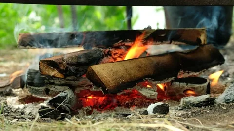 Bonfire in summer forest on camping. Flames and smoke burning firewood. Stock Footage 200590124