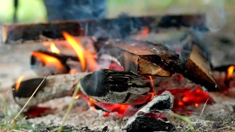 Bonfire in summer forest on camping. Flames and smoke burning firewood. Stock Footage 201100274