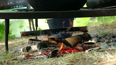 Bonfire in summer forest on camping. Flames and smoke burning firewood. Stock Footage 201825993