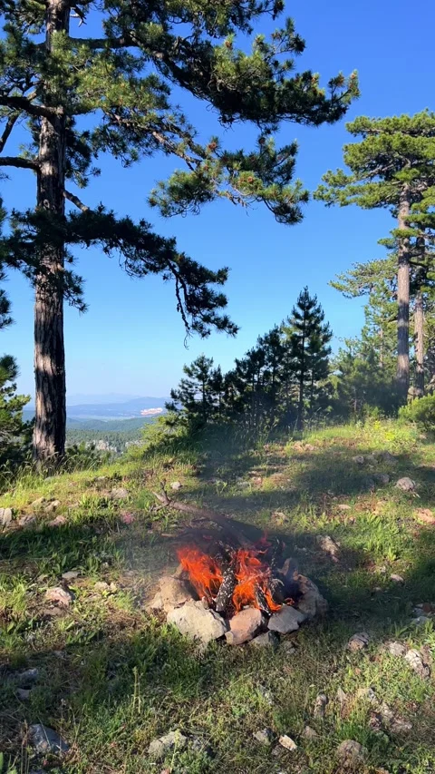 Bonfire in the Taurus Mountains in Turkey.  Stock Footage 289173498