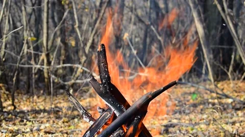 Bonfire Teepee Burns Stock Footage 68840995