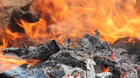 Bonfire of trash. (v.10) Stock Footage 5088457