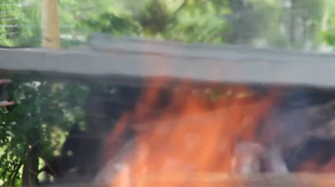 Bonfire of trash. (v.5) Stock Footage 5059247