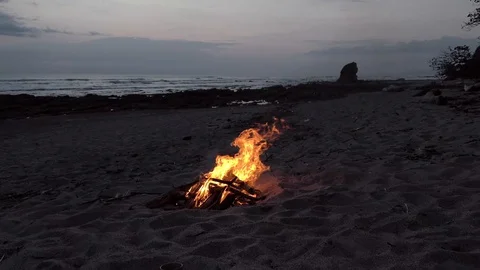 Bonfire On A Tropical Beach Stock Footage 107609545