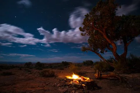 Bonfire under the Stars Stock Photos
