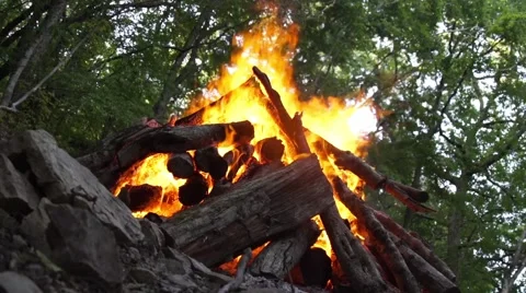 Bonfire under the trees in the forest Video stock 66257395