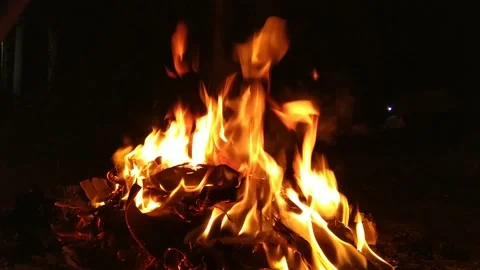 The bonfire warms the cold night Stock Footage 158535099