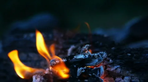 Bonfire in wilderness Stock Footage 831947