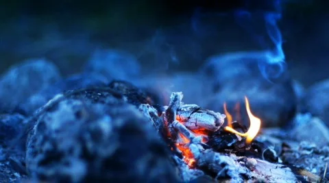 Bonfire in wilderness Stock-Footage 831969