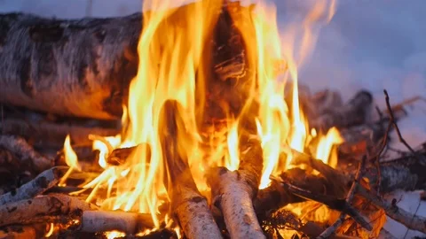 Bonfire in the winter forest close-up, fire Stock Footage 122610147