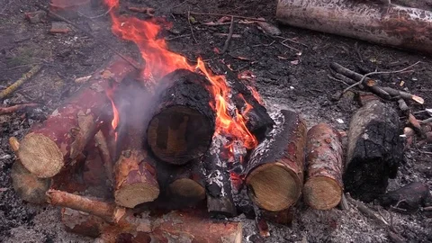 Bonfire in winter forest. Stock-Footage 74622649