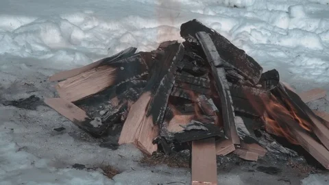 Bonfire in the winter forest Stock Footage 87586246
