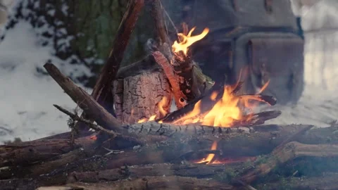 Bonfire in a winter forest Stock Footage 309894903