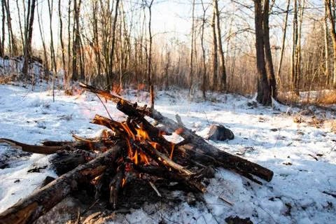 Bonfire at winter in the forest Foto stock
