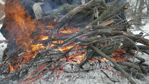 Bonfire in winter, near the forest. Stock Footage 101322080