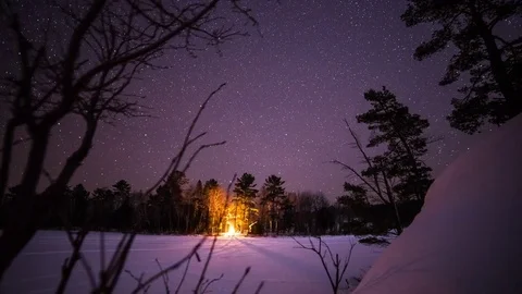 Bonfire on a winter night Free Stock Footage 72800666
