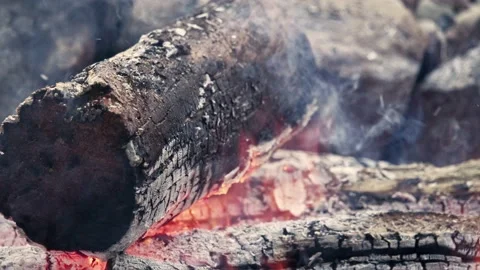 Bonfire wood charring Stock Footage 200431540