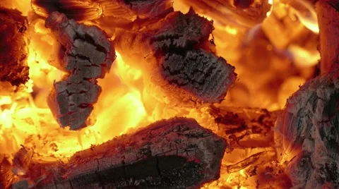 Bonfire of wood Video stock 68809645