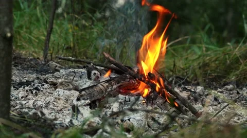 Bonfire in the woods close up Stock Footage 159715923