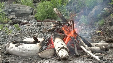 Bonfire in the woods Stock Footage 52817213