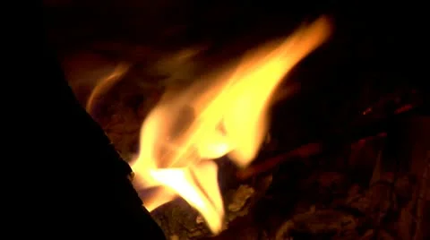 Bonfire3 HD Stock Footage 10565886