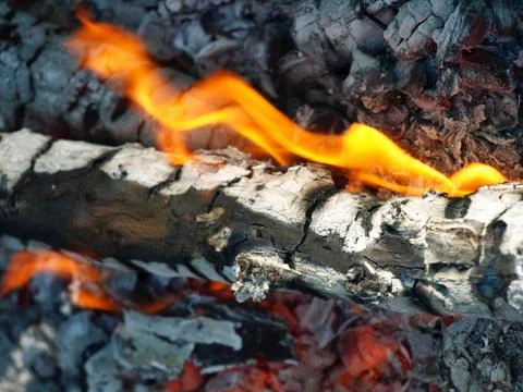 Bonfire.closeup. Stock Photos