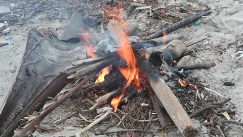 Bonfires Stock Footage 225442828
