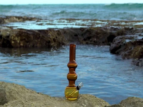 Bong in Hawaii on the reef tide pool Stock Footage 83230013