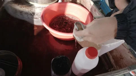 Bongo net. Plankton net Stock Footage 150507004