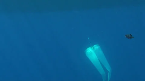 Bongo nets used to take samples of ocean microorganisms. Underwater view Stock Footage 36465518