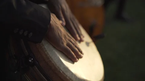 Bongo shot Stock Footage 128819714