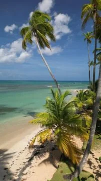 Bonita-Beach-Empty-Sand-Palms-Seascape-13 Stock Photos