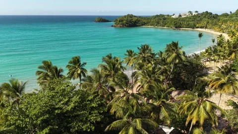 Bonita-Beach-Las-Terrenas-Bay-Panorama-06 Stock Footage 340650170